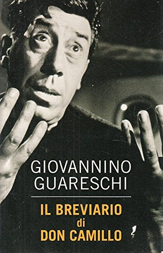 Don Camillo e Don Chichi book
