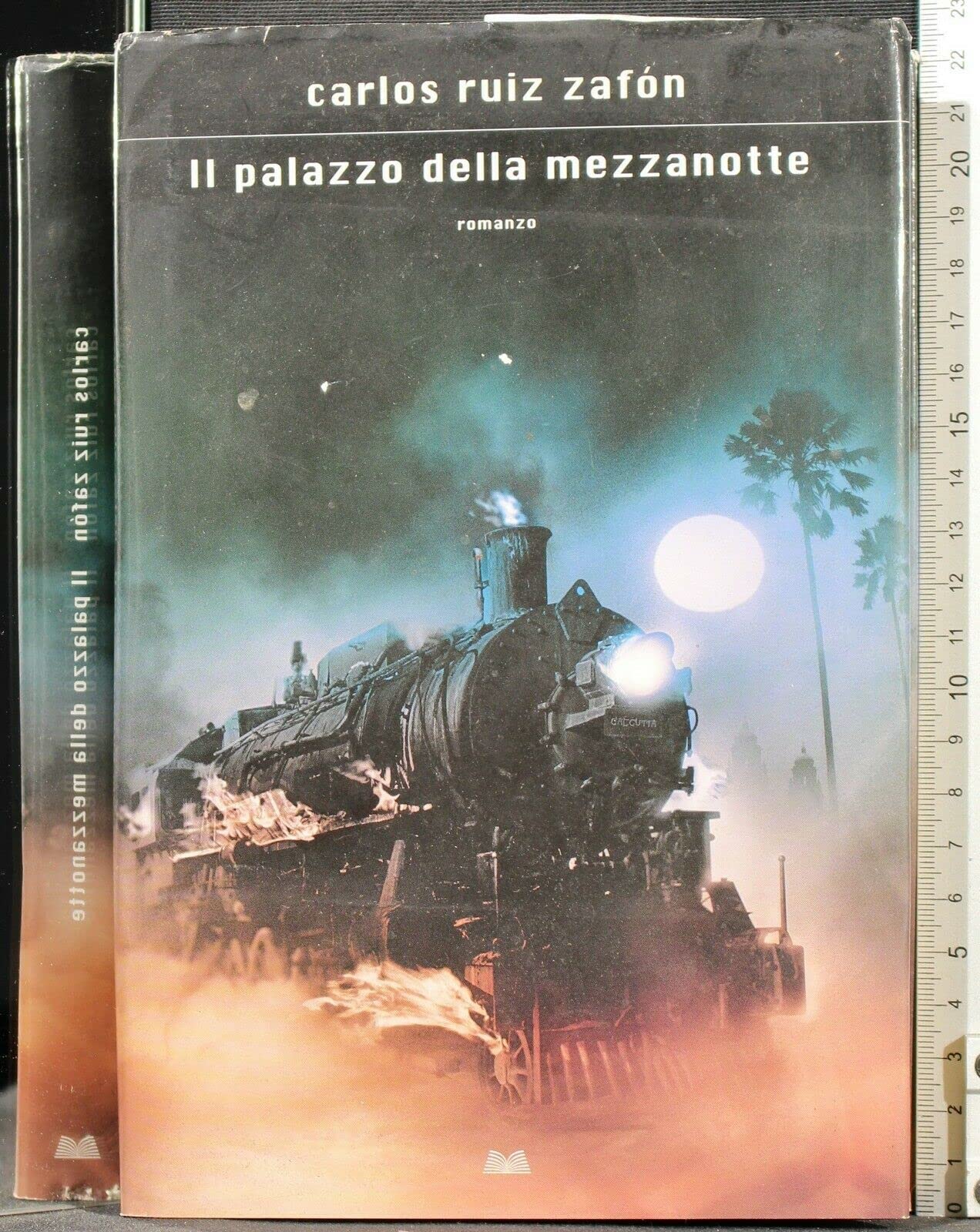Il palazzo della mezzanotte book