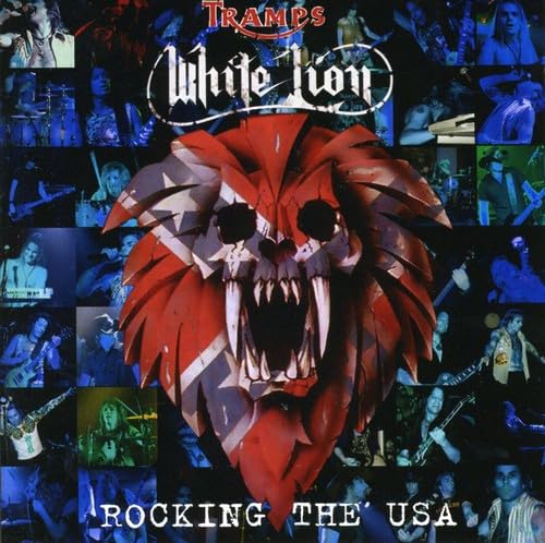 Product Image: Rocking the Usa
