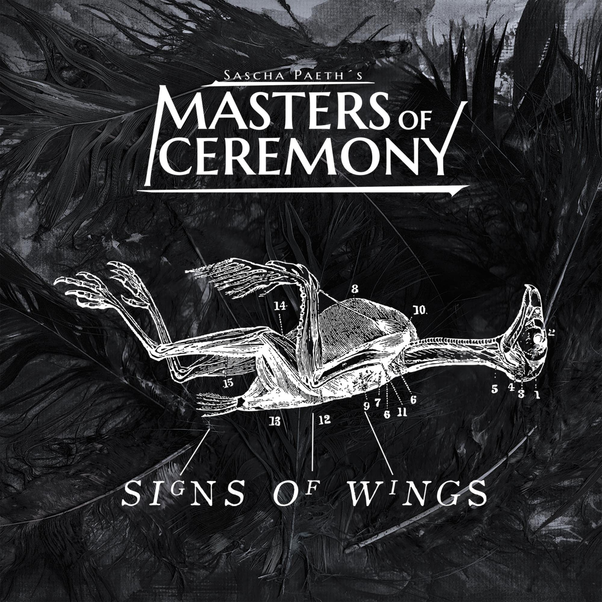 Signs Of Wings Metal & Hardrock
