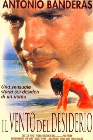 Product Image: Il Vento del Desiderio