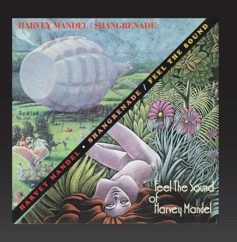 Shangrenade - Feel the Sound of Harvey Mandel Blues