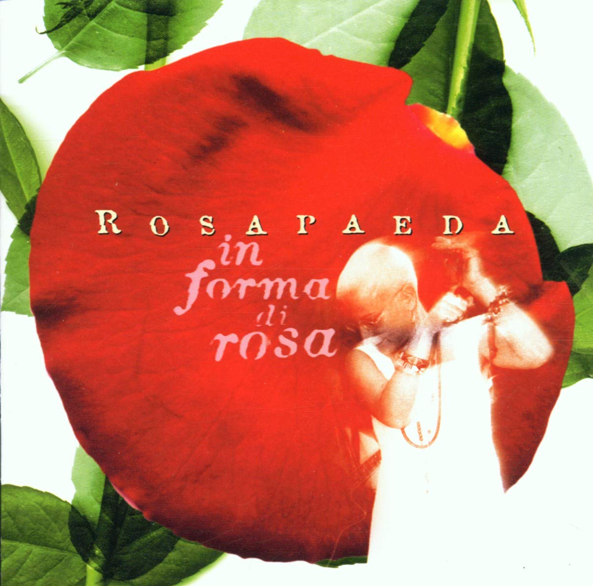 In Forma di Rosa Pop