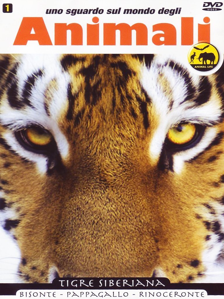 Uno sguardo sul mondo degli animali Films