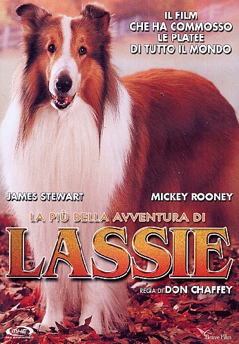 La Piu' Bella Avventura Di Lassie Films