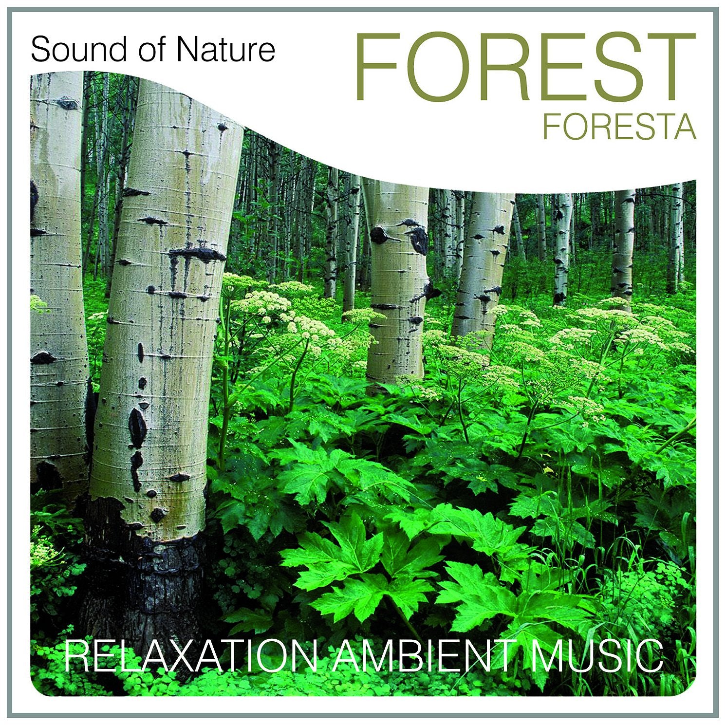 Sound of Nature, Forest (Foresta) Music