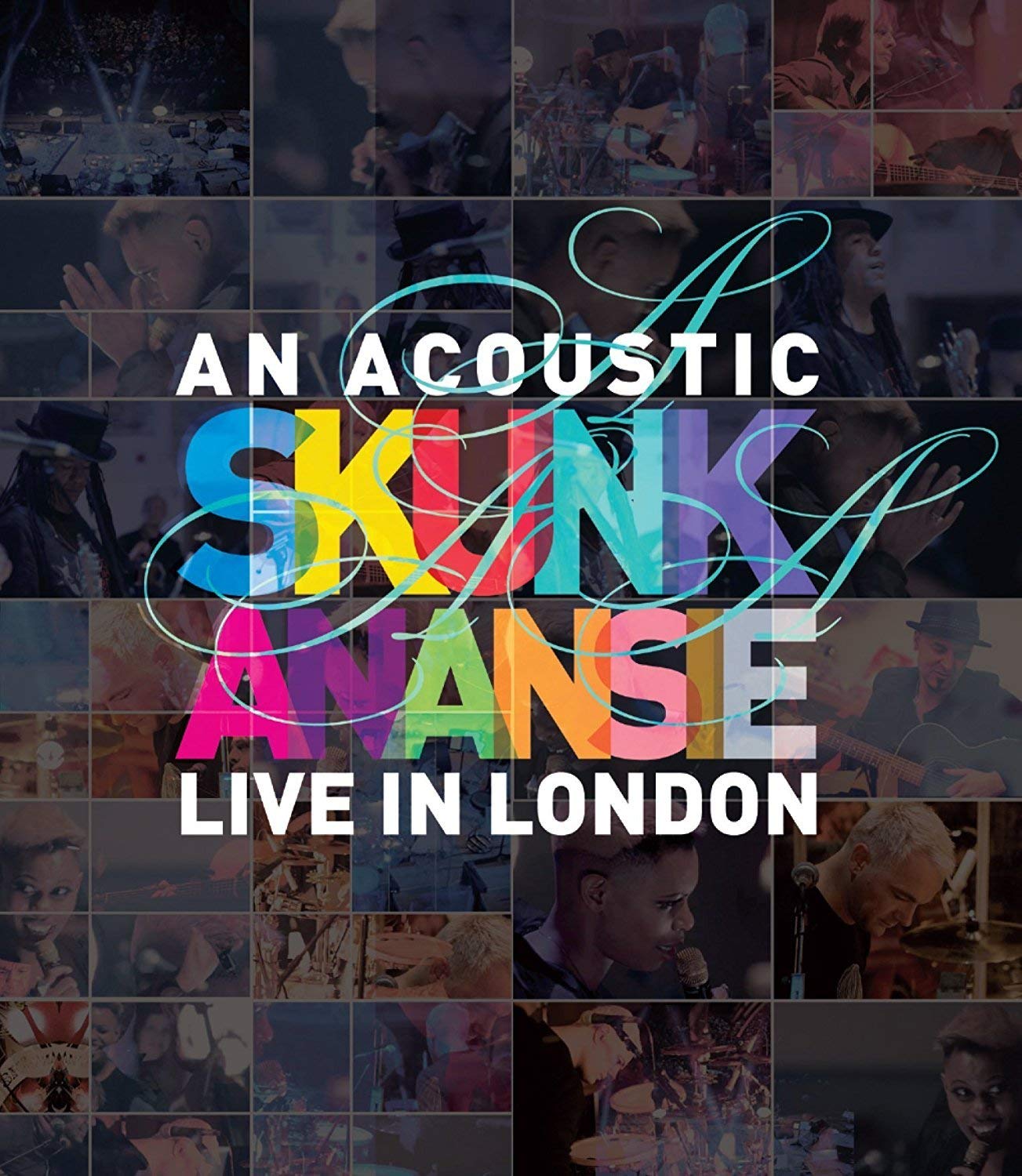An Acoustic Skunk Anansie Films