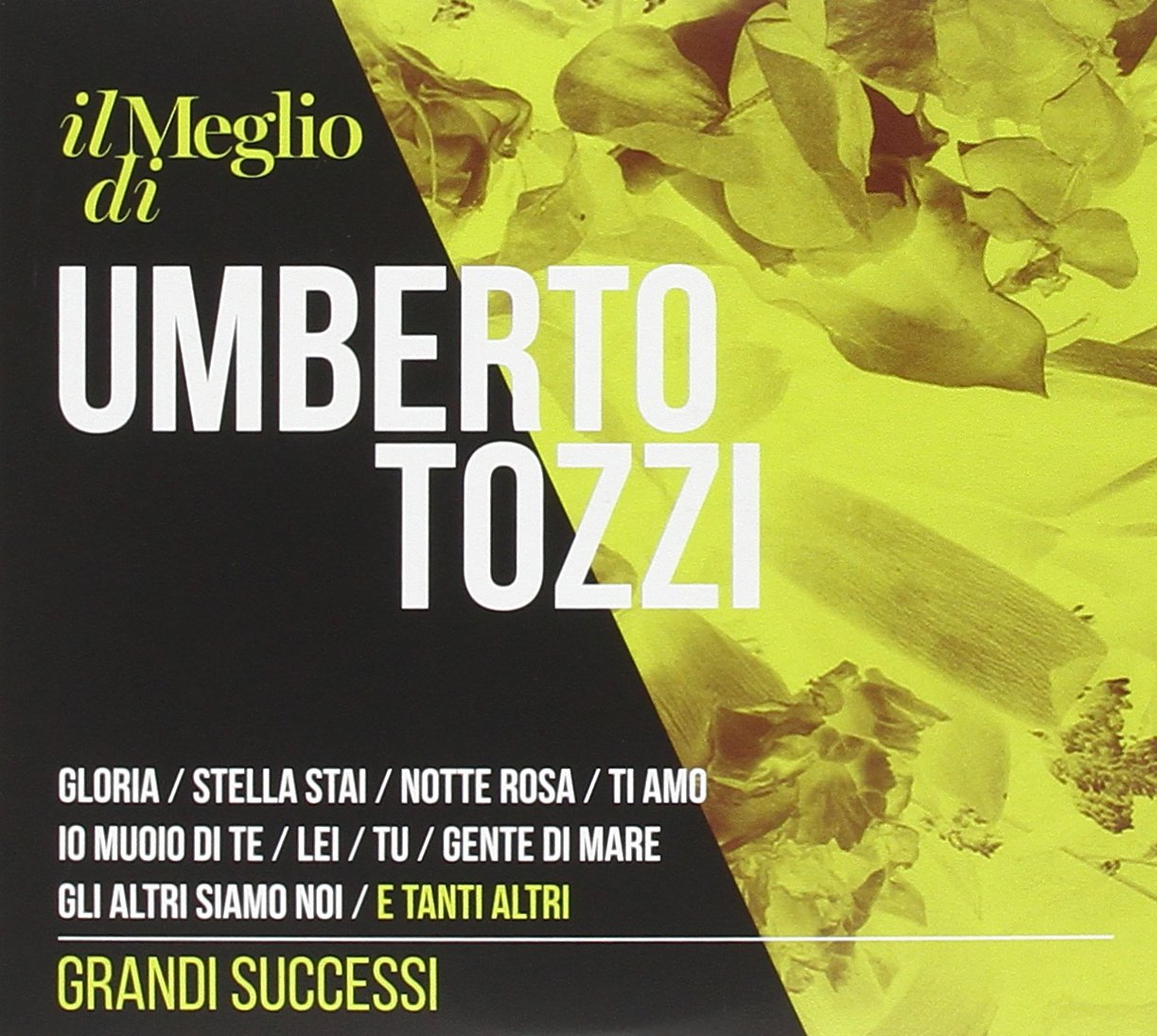 Il Meglio di-Grandi Successi Pop