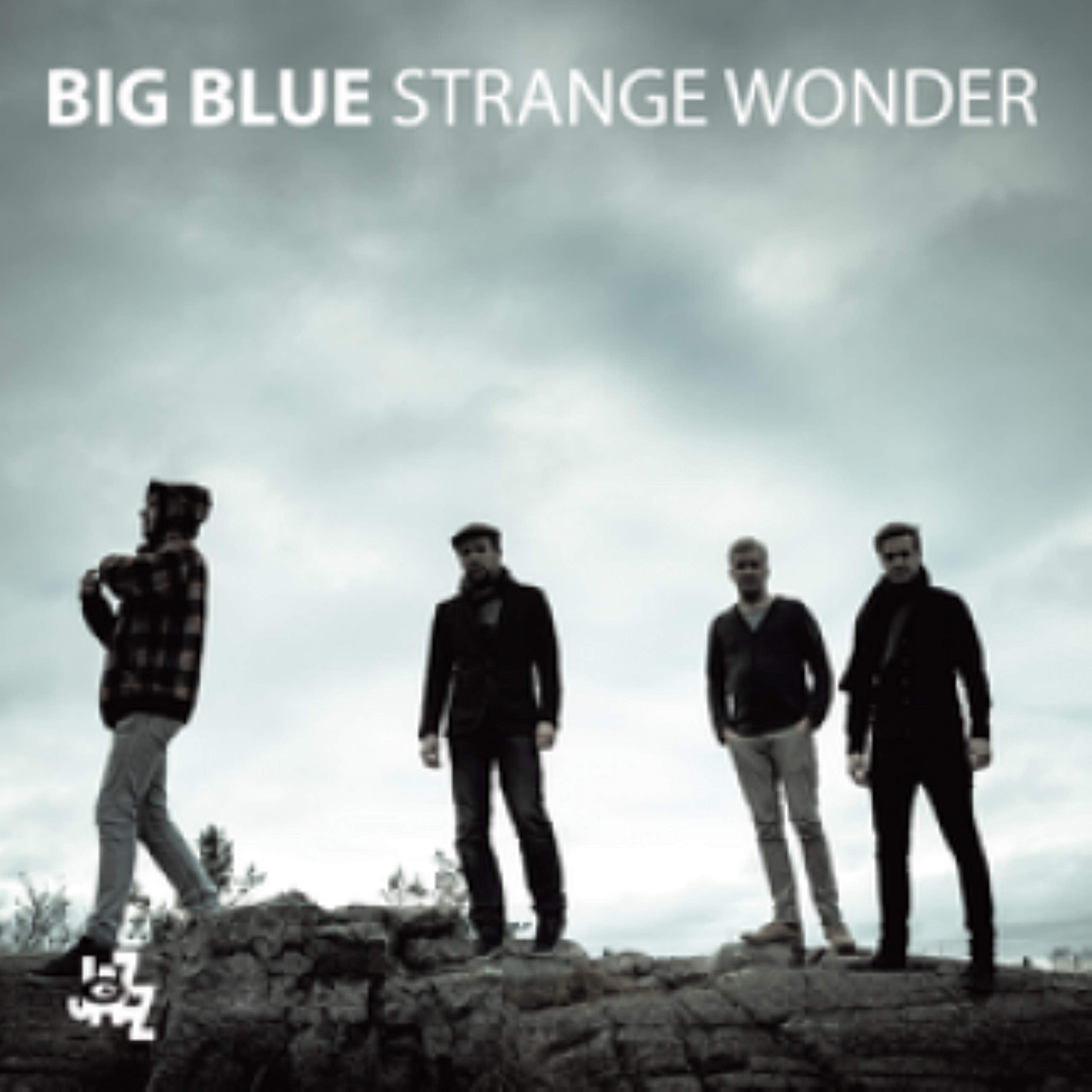 Product Image: Strange Wonder