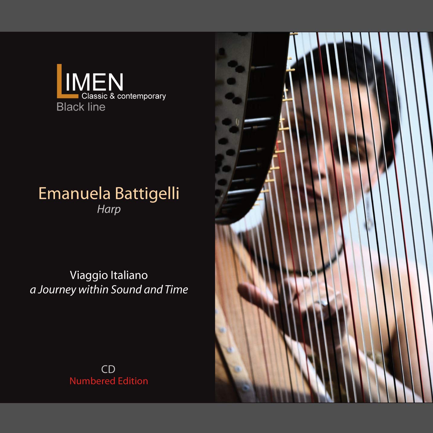 VIAGGIO ITALIANO ... a Journey within Sound and Time - CD+VideoPlatform Music