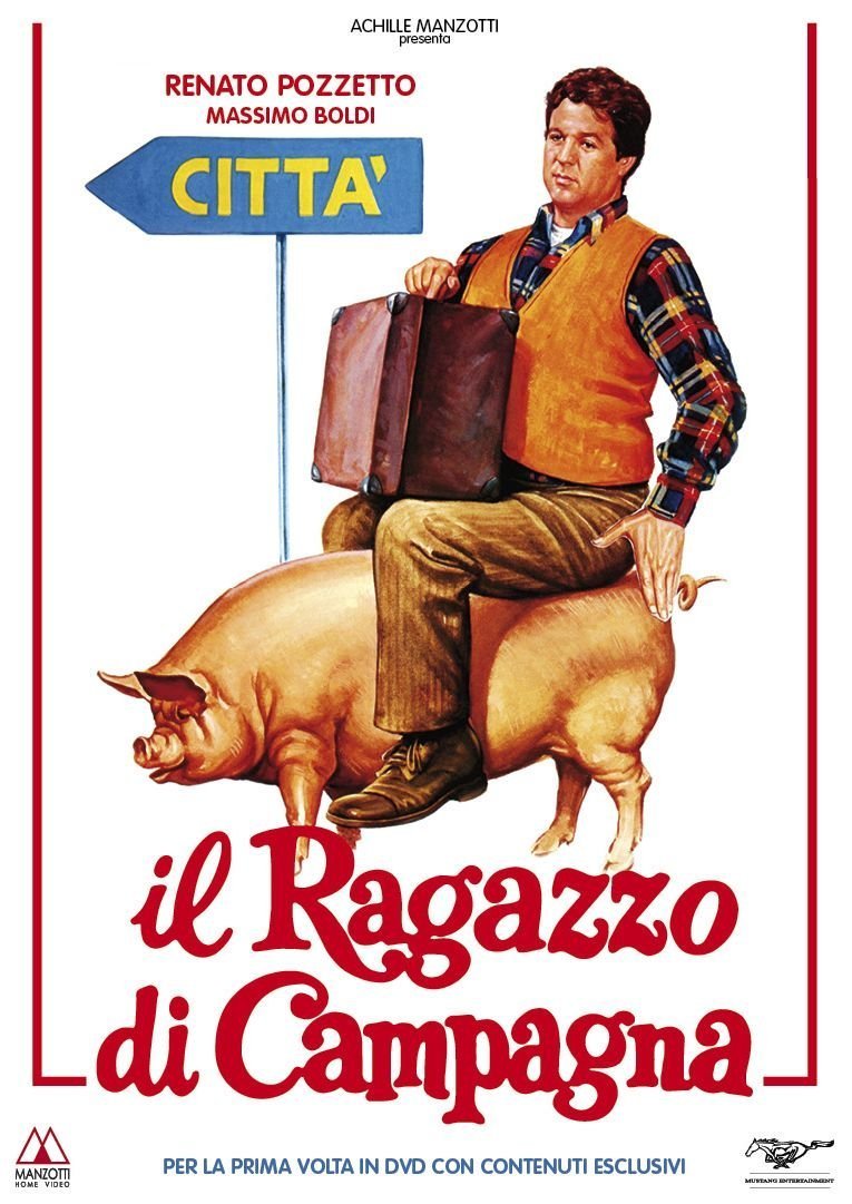 Dvd - Ragazzo Di Campagna (Il) (1 DVD) Books
