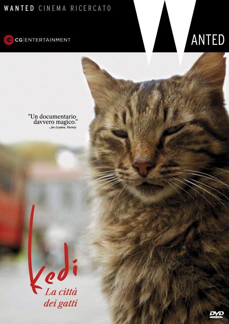 Kedi - La Citta' Dei Gatti (1 DVD) Films