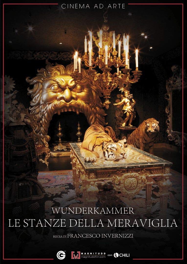 Wow-La Stanza Delle Meraviglie dvd