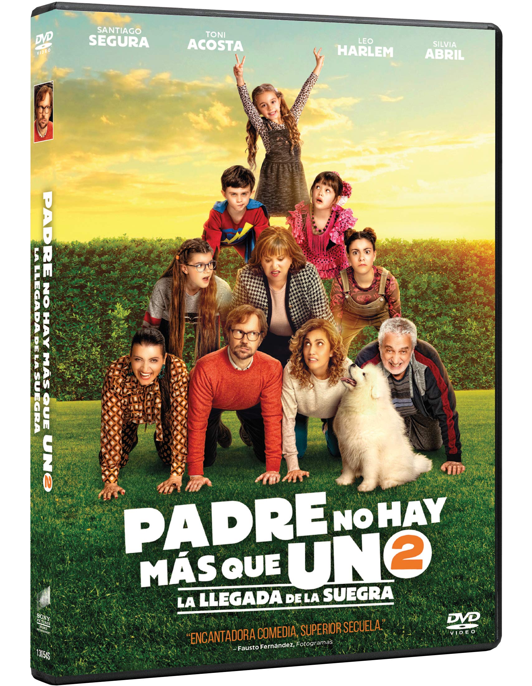Padre no hay más que uno 2: La llegada de la suegra Films