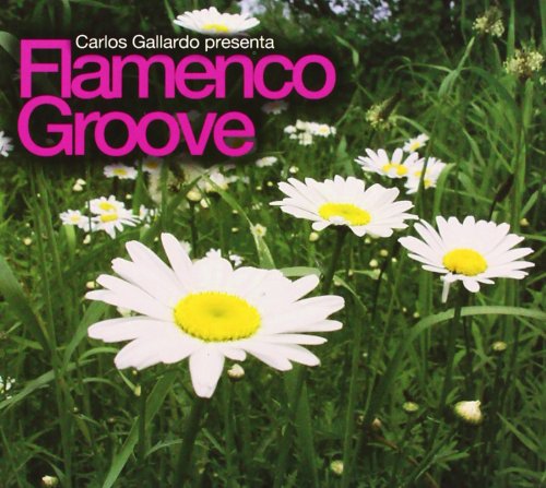 Flamenco Groove Dance & Electronic