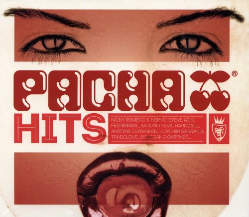 Pacha Hits 2013 Dance & Electronic