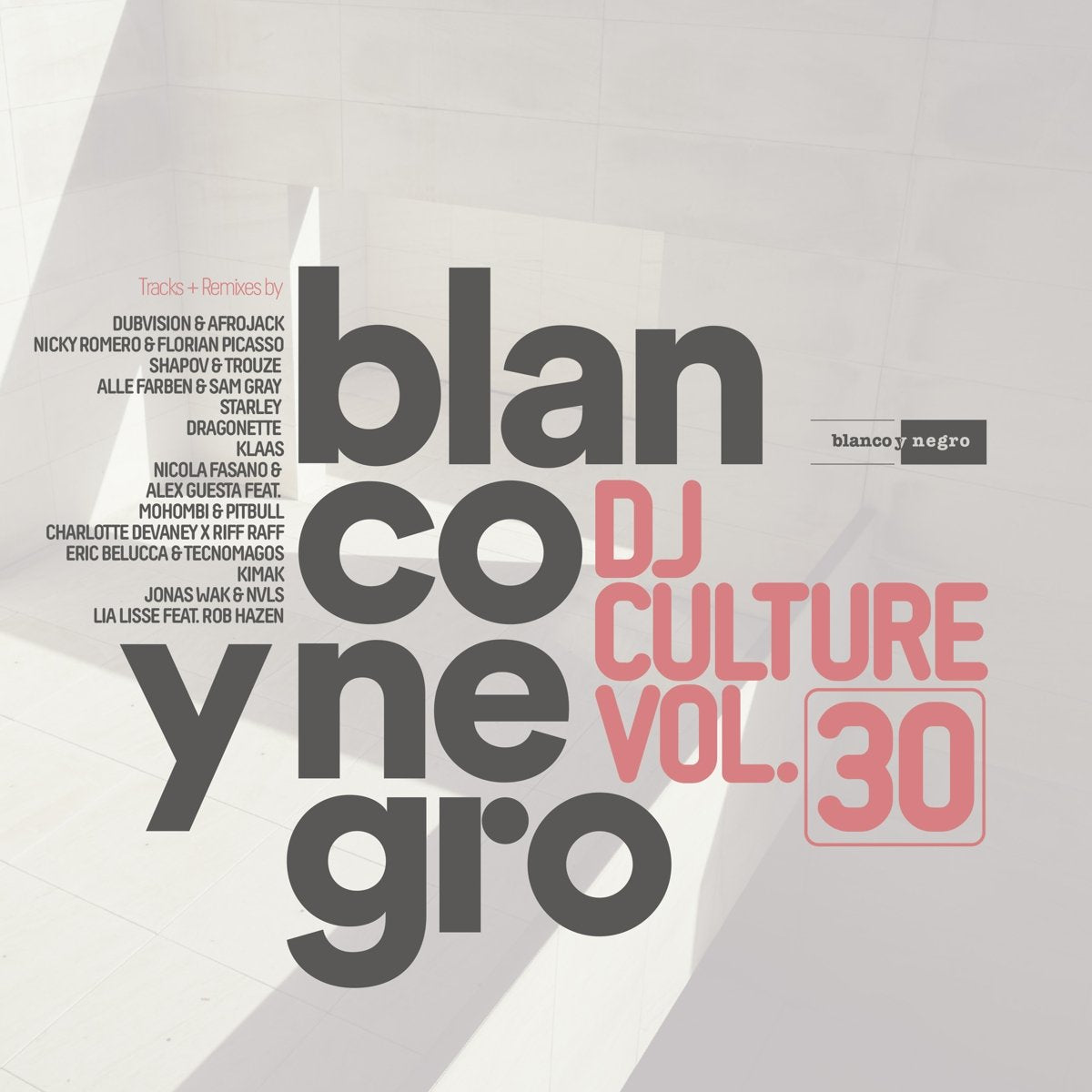 Blanco Y Negro DJ Culture Vol.30 Pop
