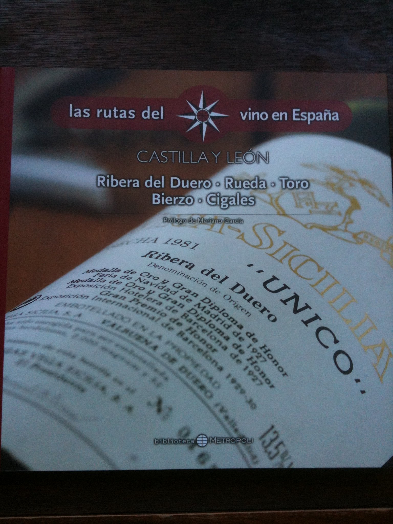 LAS RUTAS DEL VINO EN ESPAÑA-CASTILLA Y LEÓN,RIBERA DEL DUERO,RUEDA,TORO...MAGNÍFICAS ILUSTRACIONES FOTOGRÁFICAS book