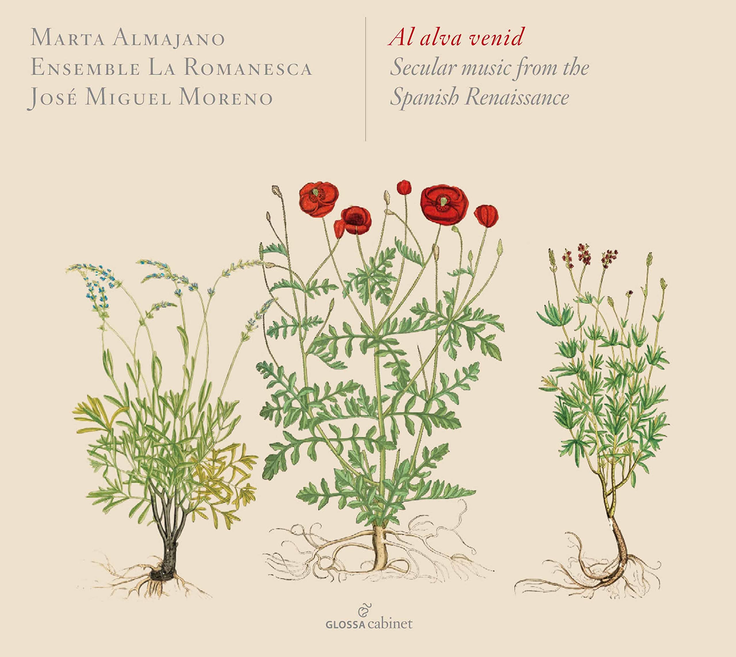 Al Alva Venid: Secular Music from the Spanish Renaissance cd