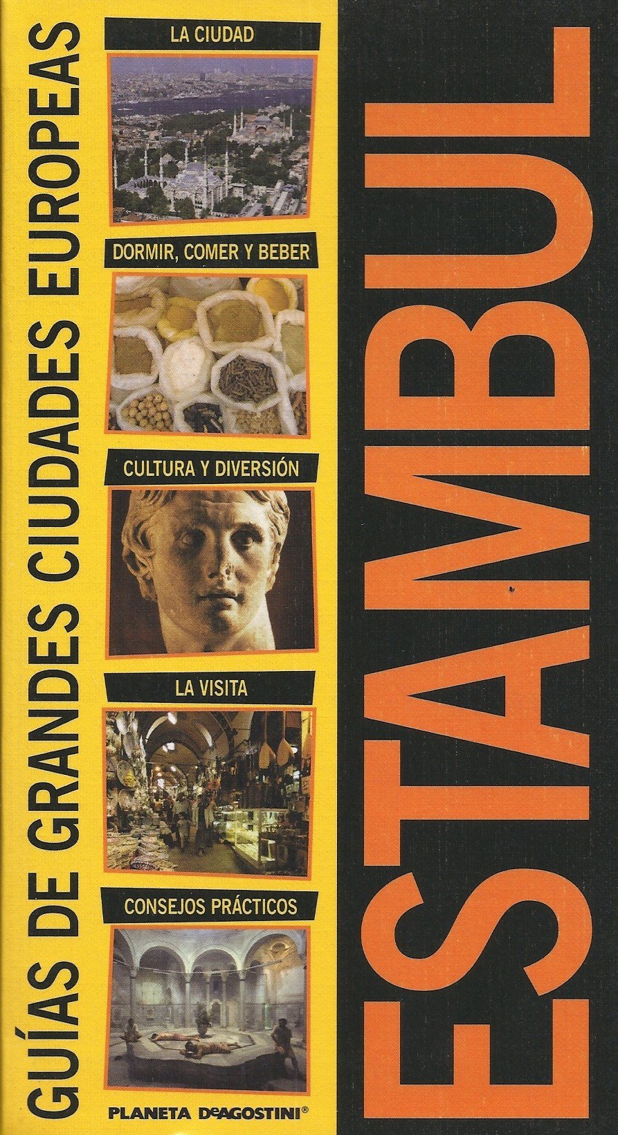 Estambul (Guías de grandes ciudades europeas) book