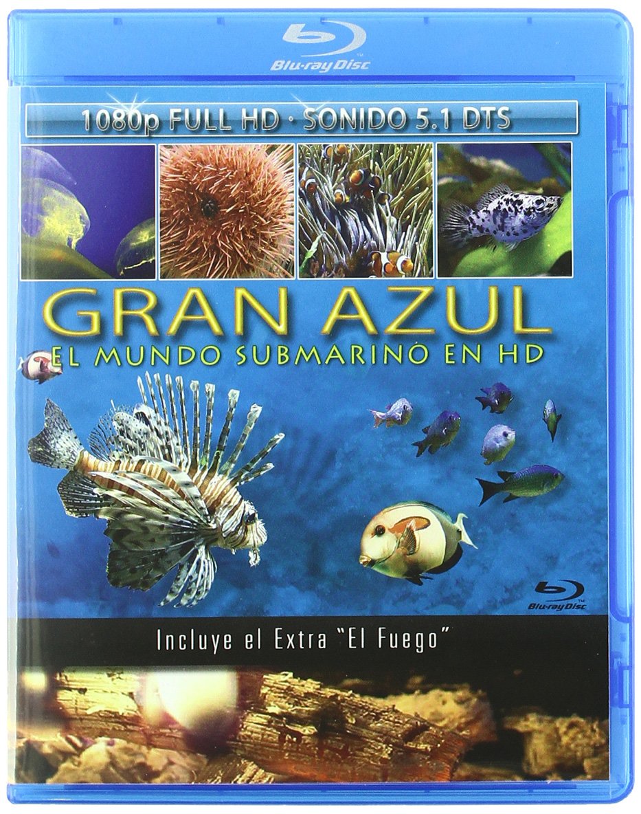 El Gran Azul Films