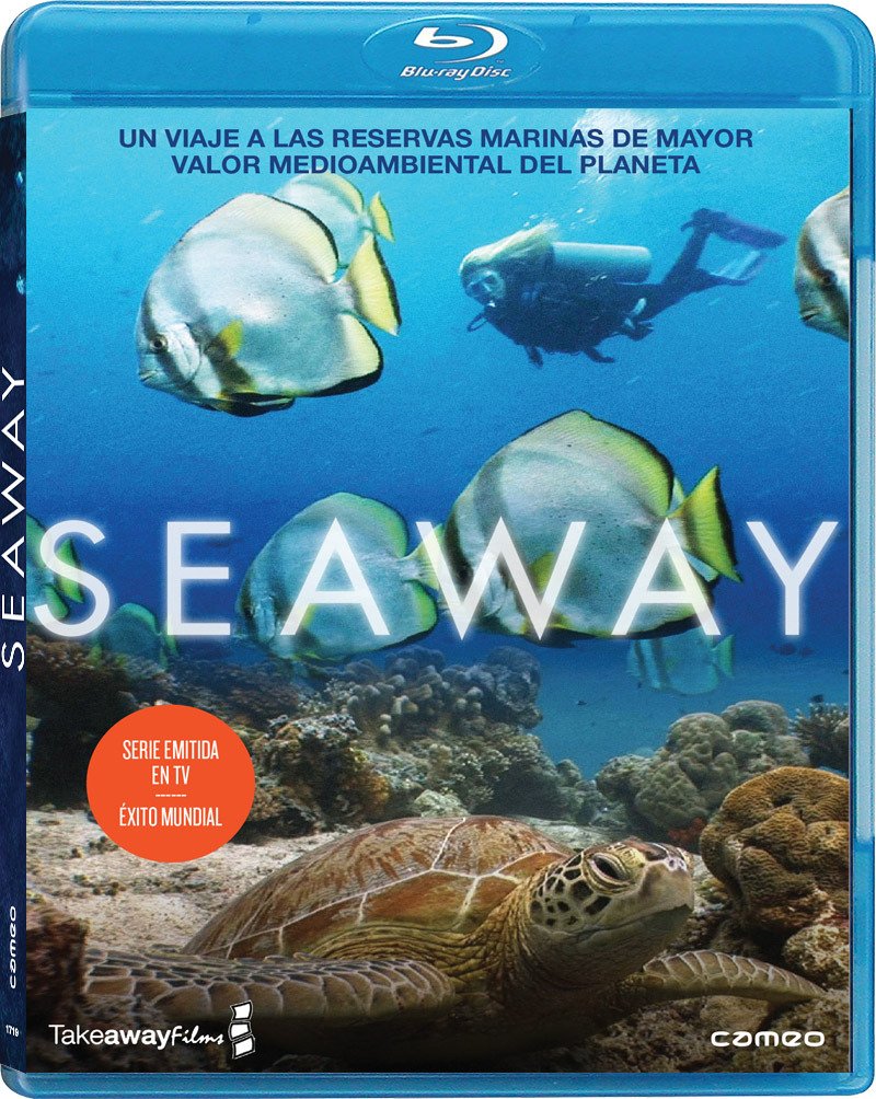 Product Image: Seaway --- IMPORT ZONE B ---