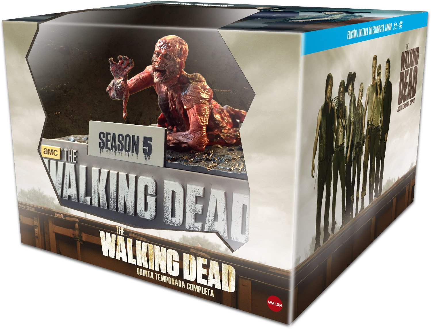 The Walking Dead. Season five (THE WALKING DEAD: TEMPORADA 5 ED.COLECCIONISTA (BLU-RAY+DVD), Spanien Import, siehe Details für S Movies