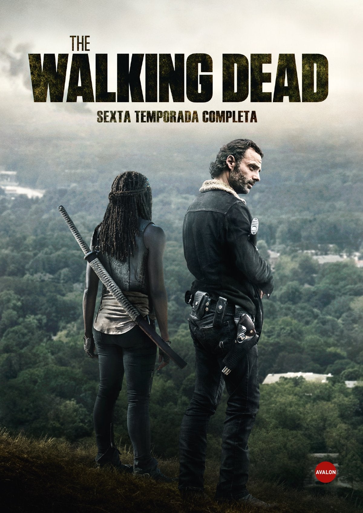 The Walking Dead (THE WALKING DEAD: TEMPORADA 6, Spanien Import, siehe Details für Sprachen) Box sets