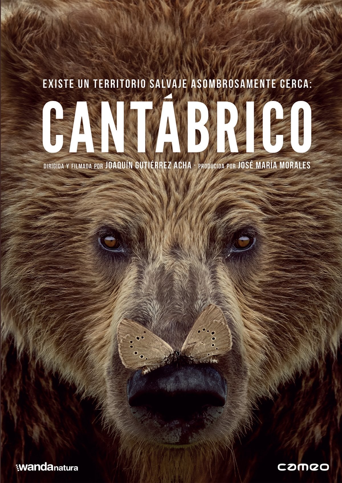 Cantábrico (Los dominios del oso pardo) (CANTÁBRICO, LOS DOMINIOS DEL OSO PARDO - DVD -, Spanien Import, siehe Details für Sprac Movies