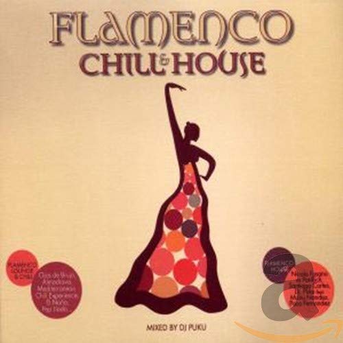 Flamenco Chill and House Dance & Electronic