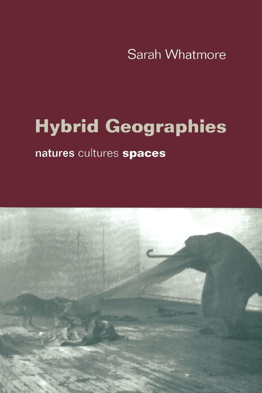 Hybrid Geographies: Natures Cultures Spaces Social Sciences