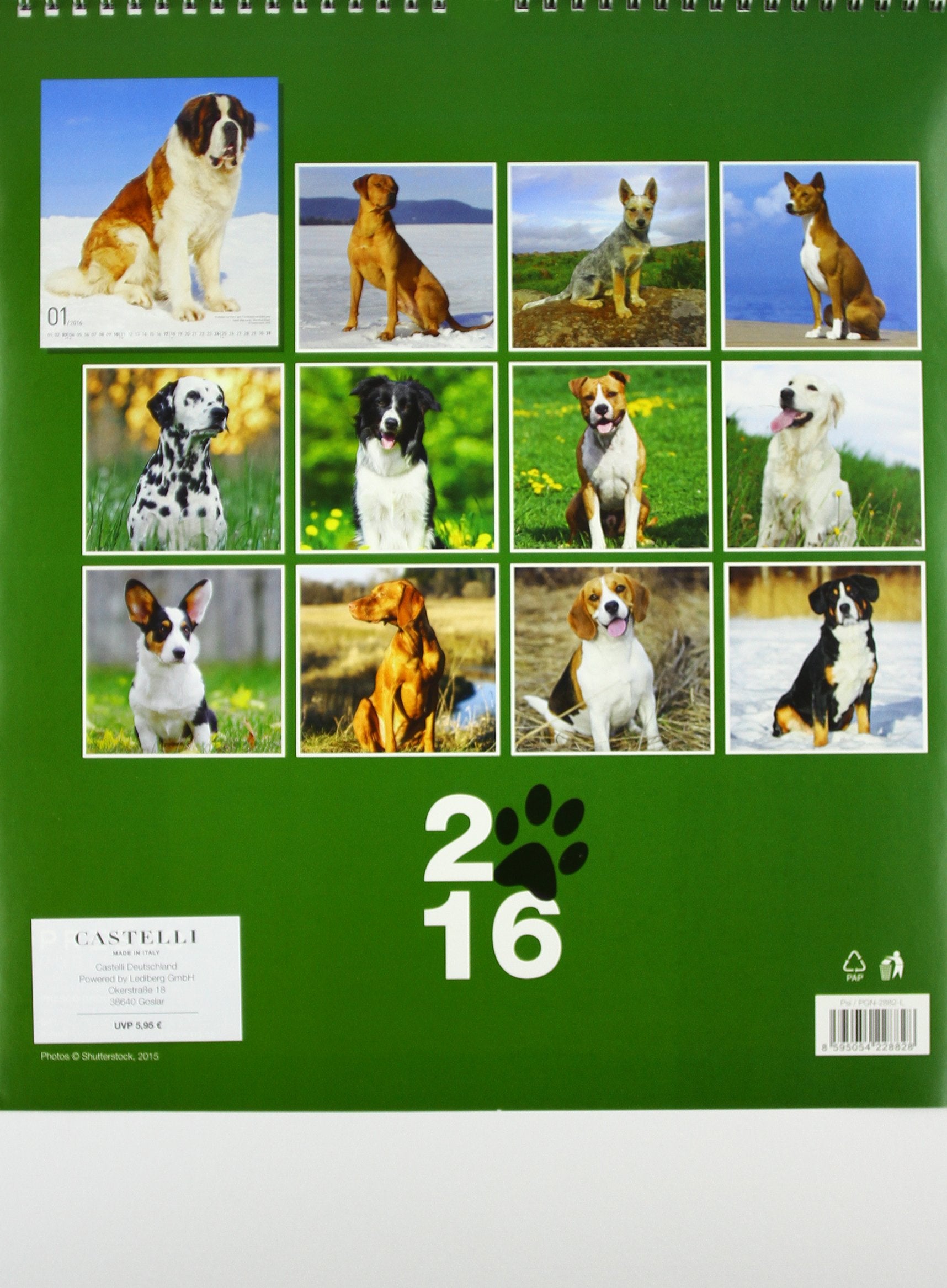 Honden 2016: Wandkalender Fotos book