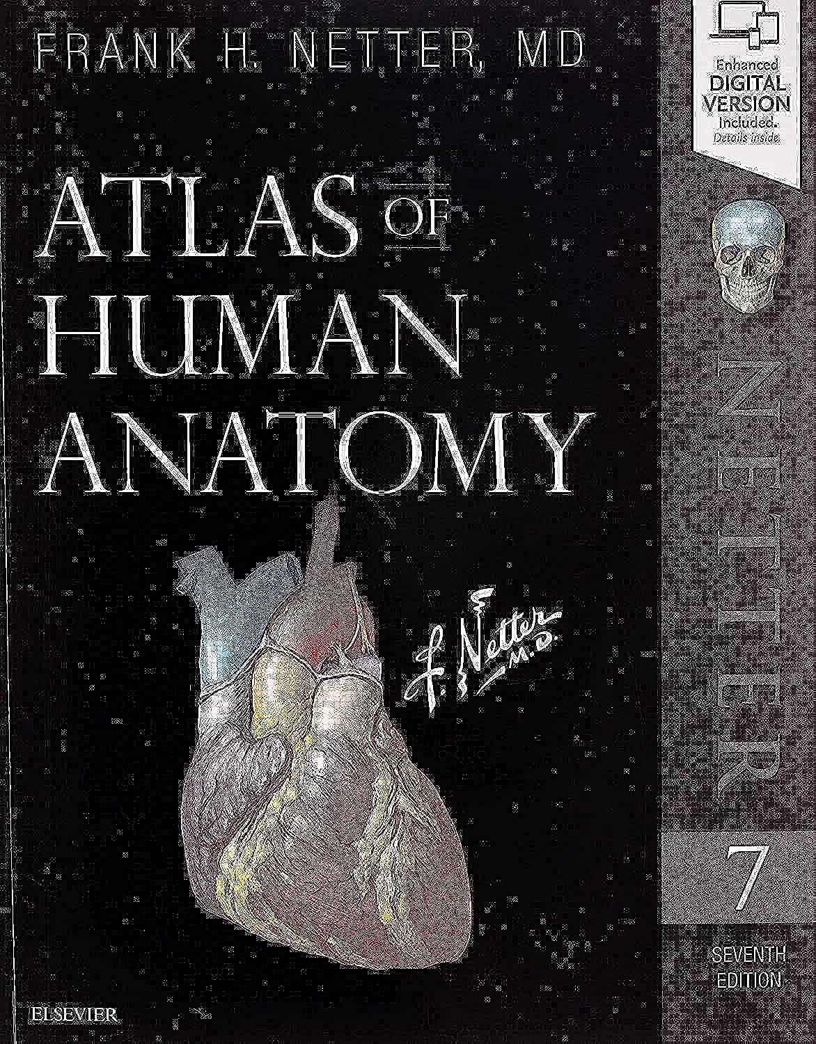Atlas of Human Anatomy (Netter Basic Science) Medicine
