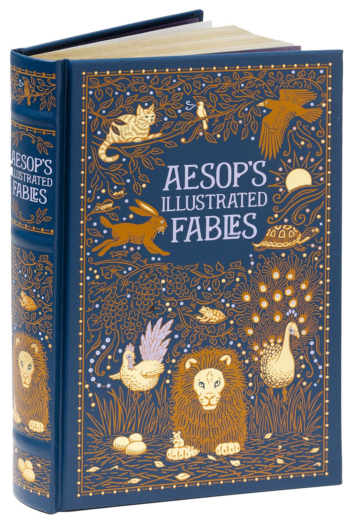 Aesop's Illustrated Fables (Barnes & Noble Collectible Editions) Essays & Short Stories