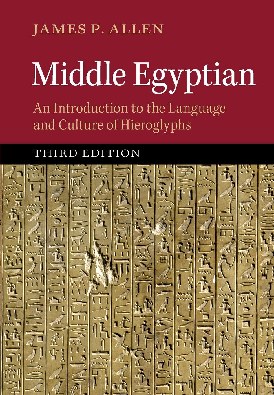 Middle Egyptian: An Introduction To The Language And Culture Of Hieroglyphs Social Sciences