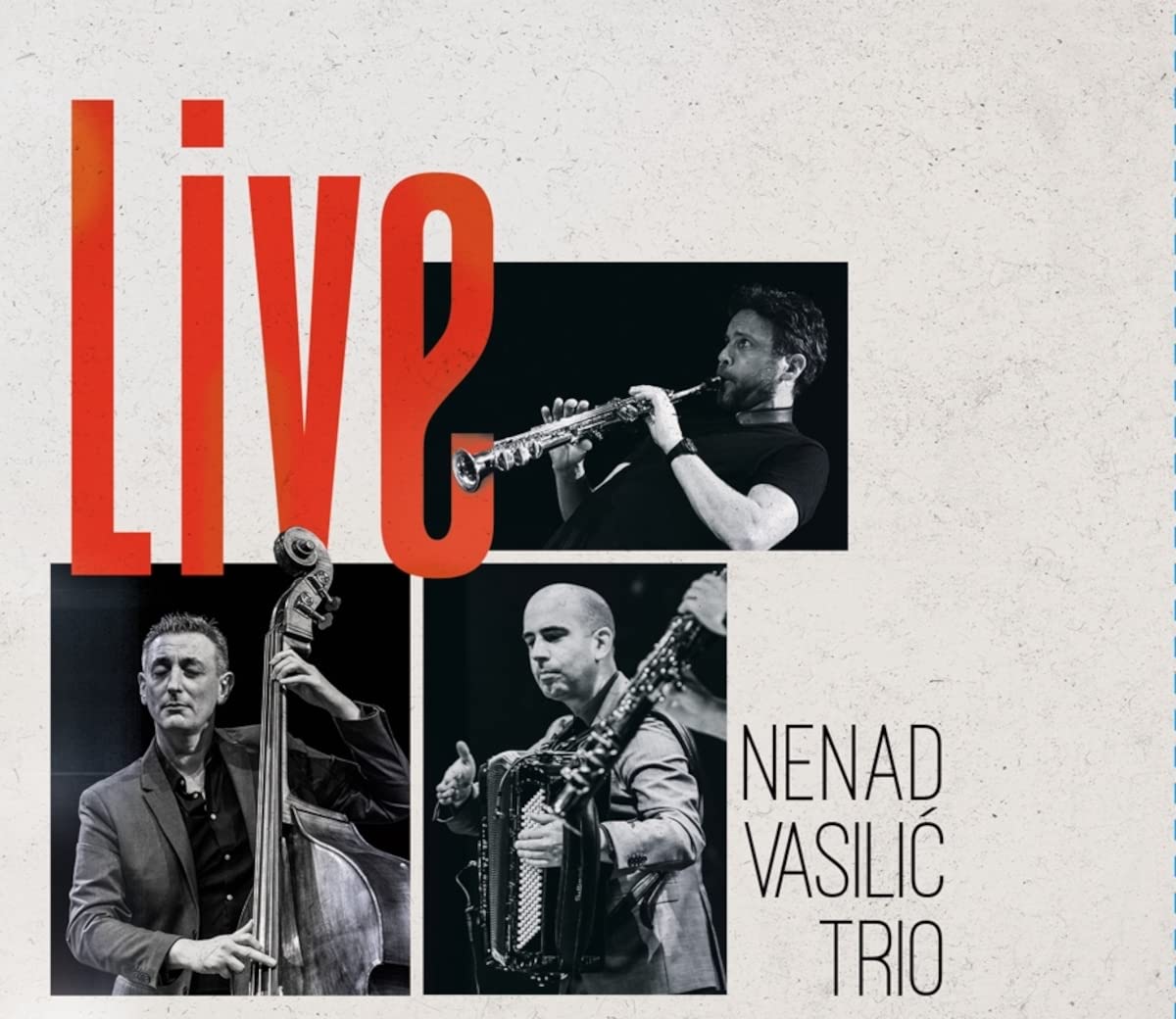 Nenad Vasilic Trio Live Music