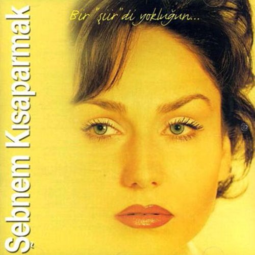 Bir Siirdi Yoklugun World Music
