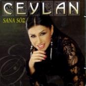 Sana Söz World Music
