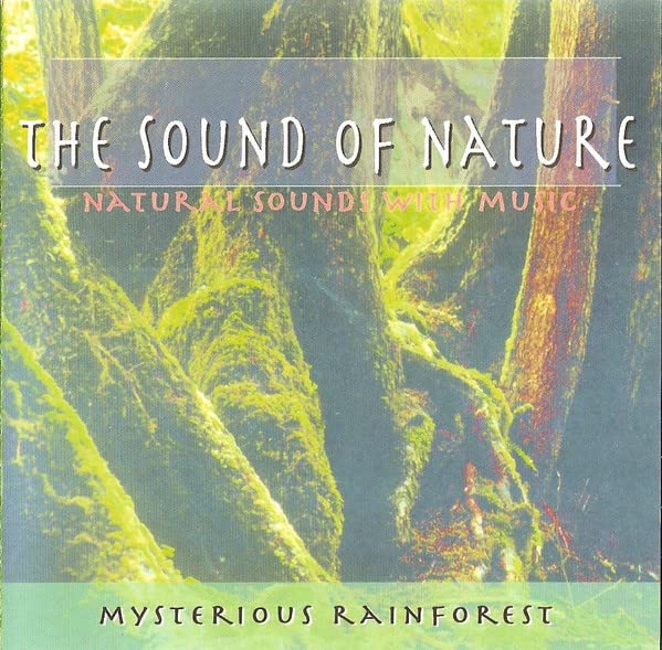 Mysterious Rainforest Music