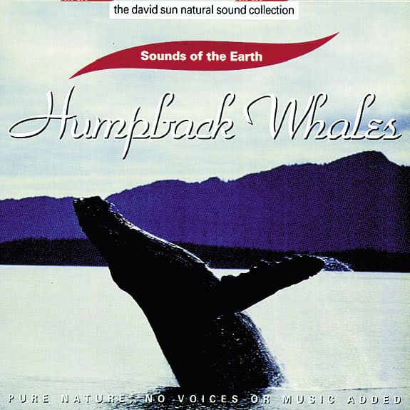 Humpback Whales Music
