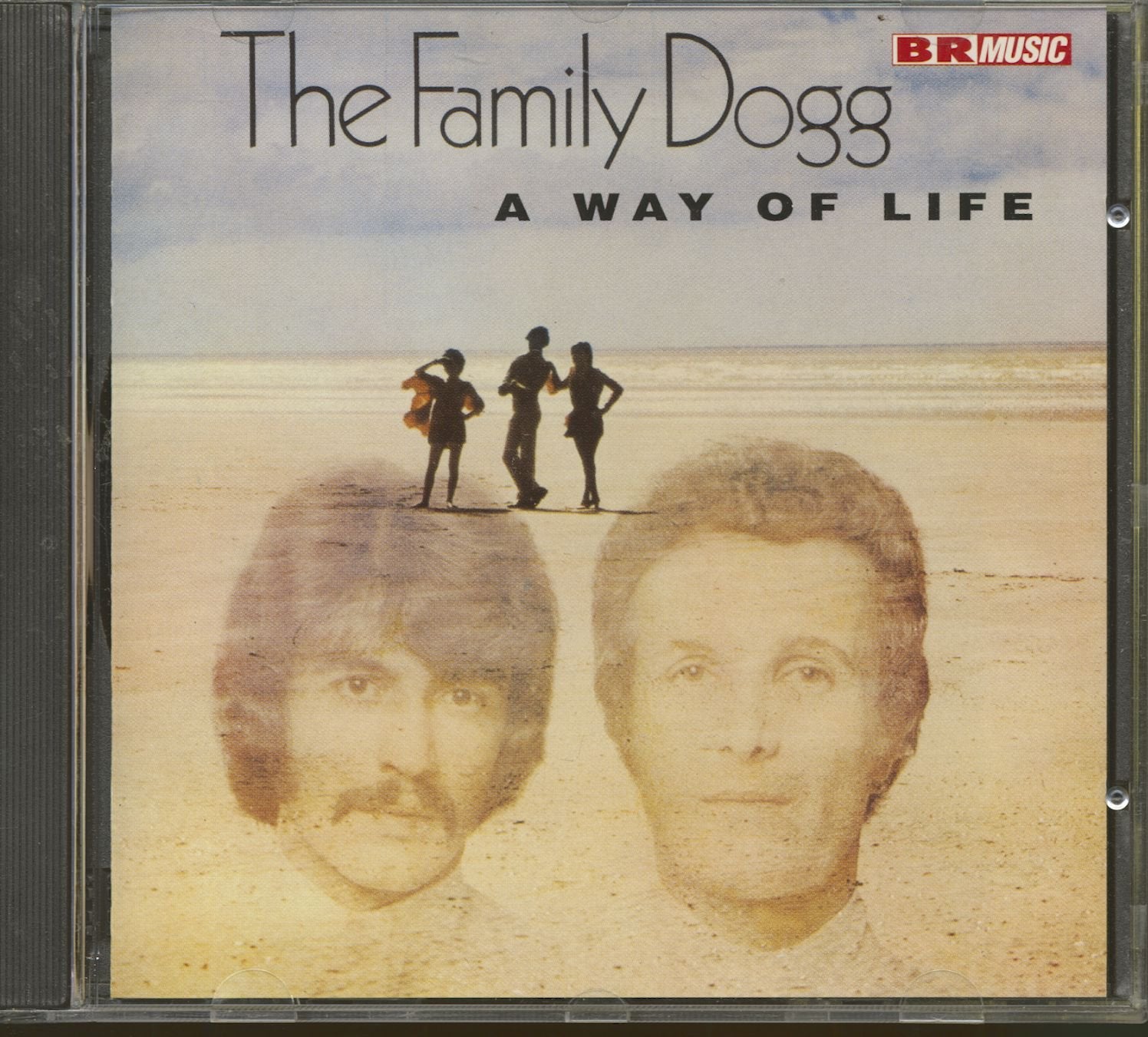 A Way of Life Pop