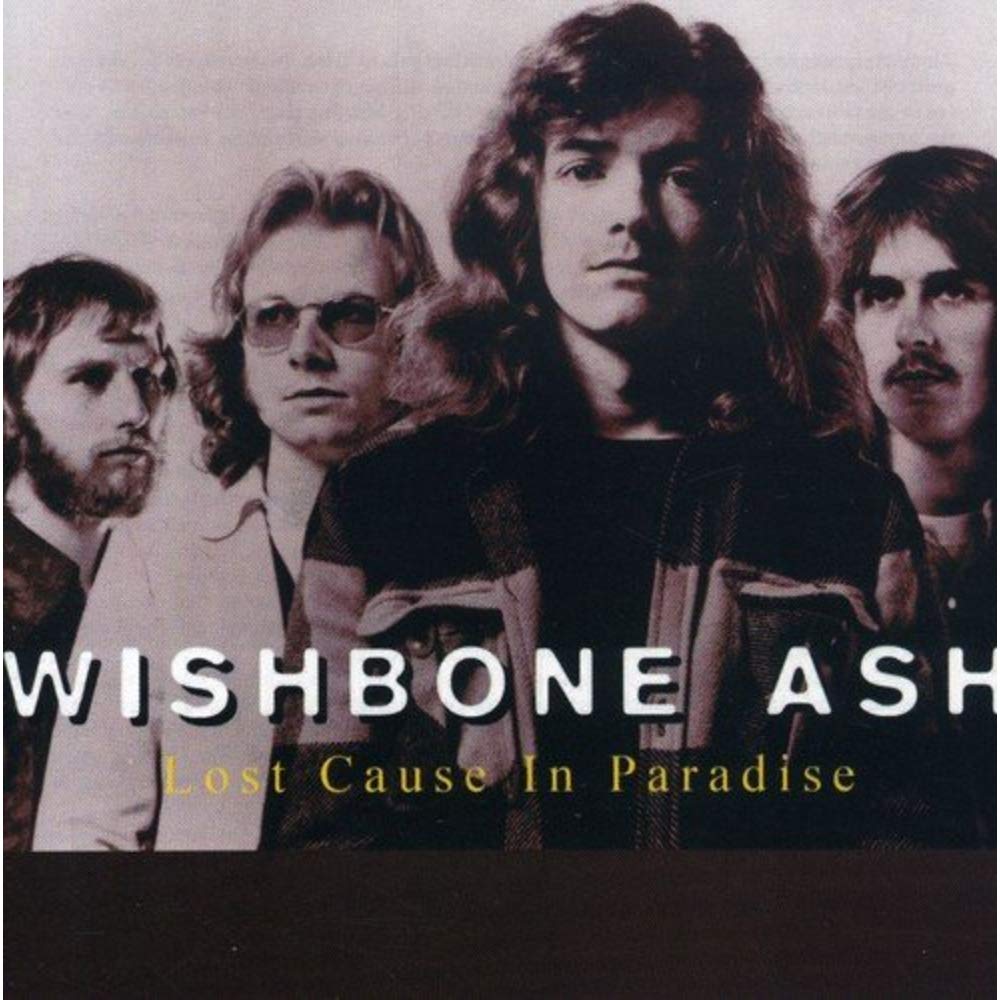 Lost Cause In Paradise (Dieser Titel enthält Re-Recordings) Rock