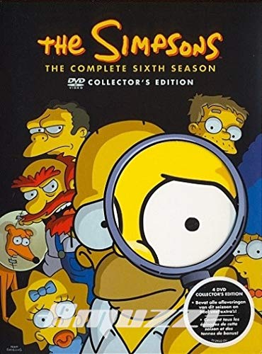 Les Simpson : L'Intégrale Saison 6 - Édition 4 DVD Films
