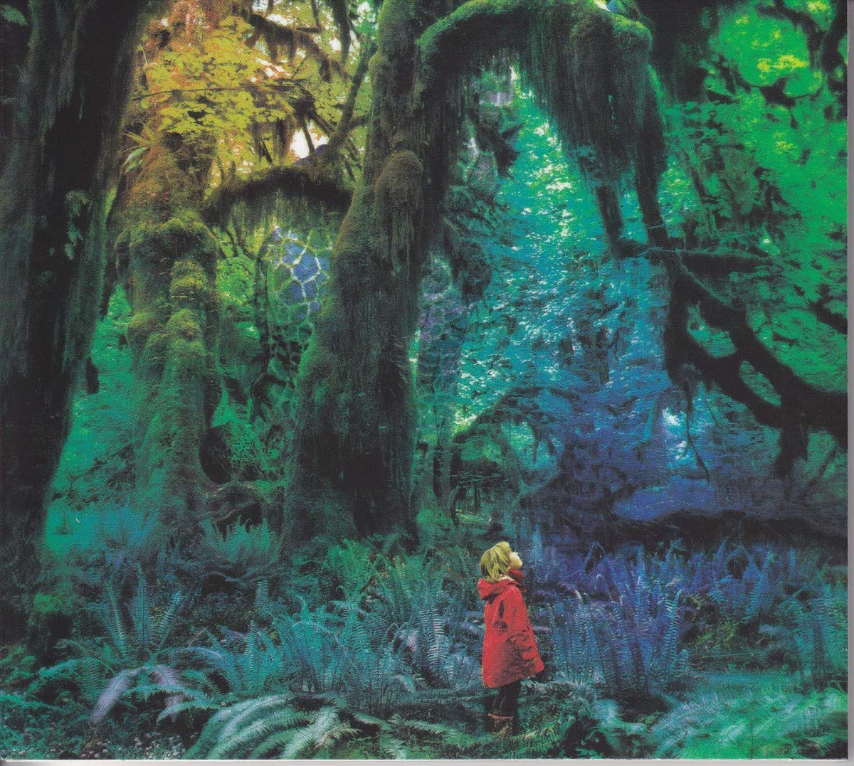 Jacco Gardner - Cabinet Of Curiosities Music