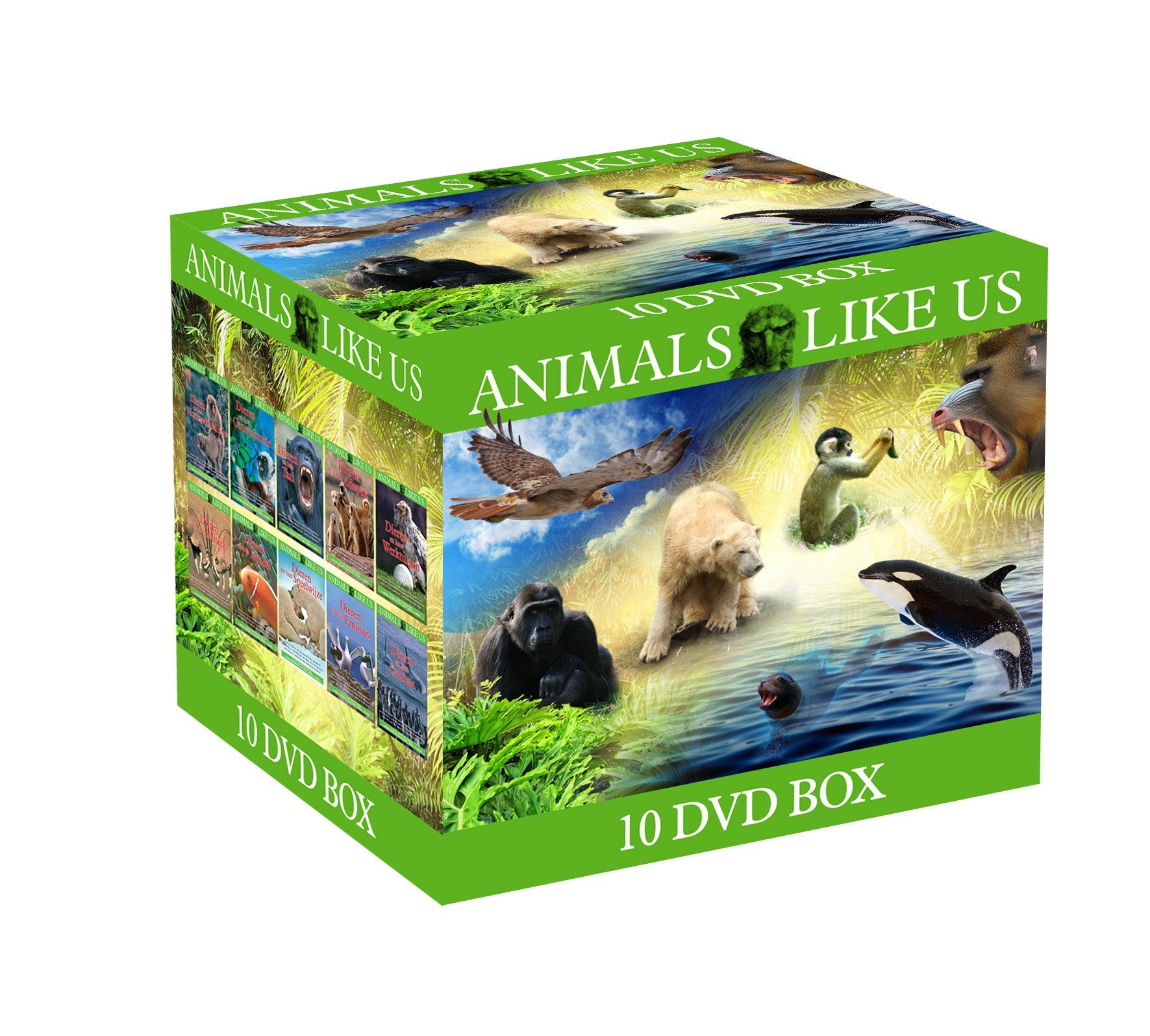 ANIMALS LIKE US 10-DVD (Dieren) Films