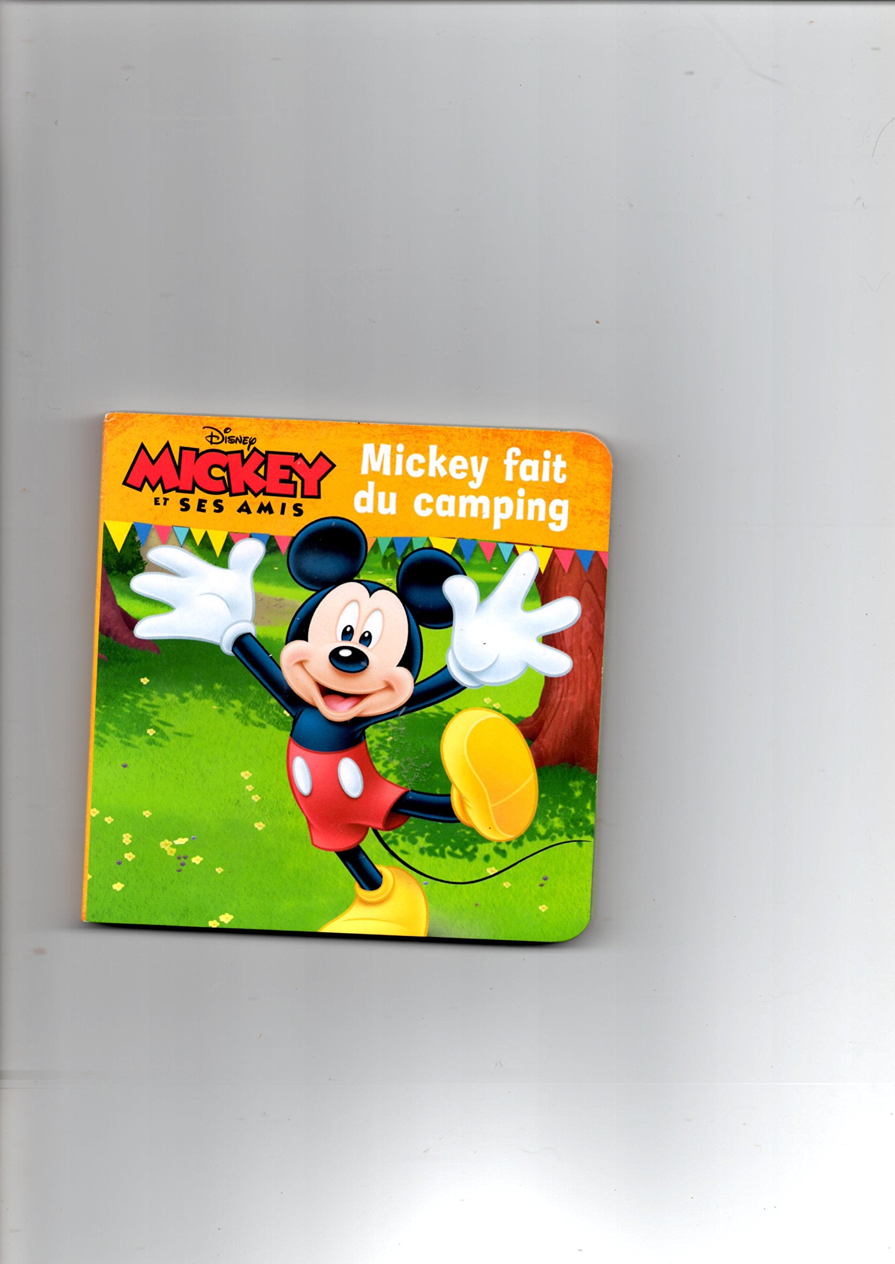 MICKEY FAIT DU CAMPING book