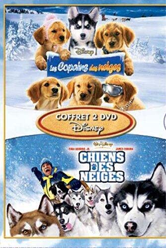 Copains des neiges ; chiens des neiges Films