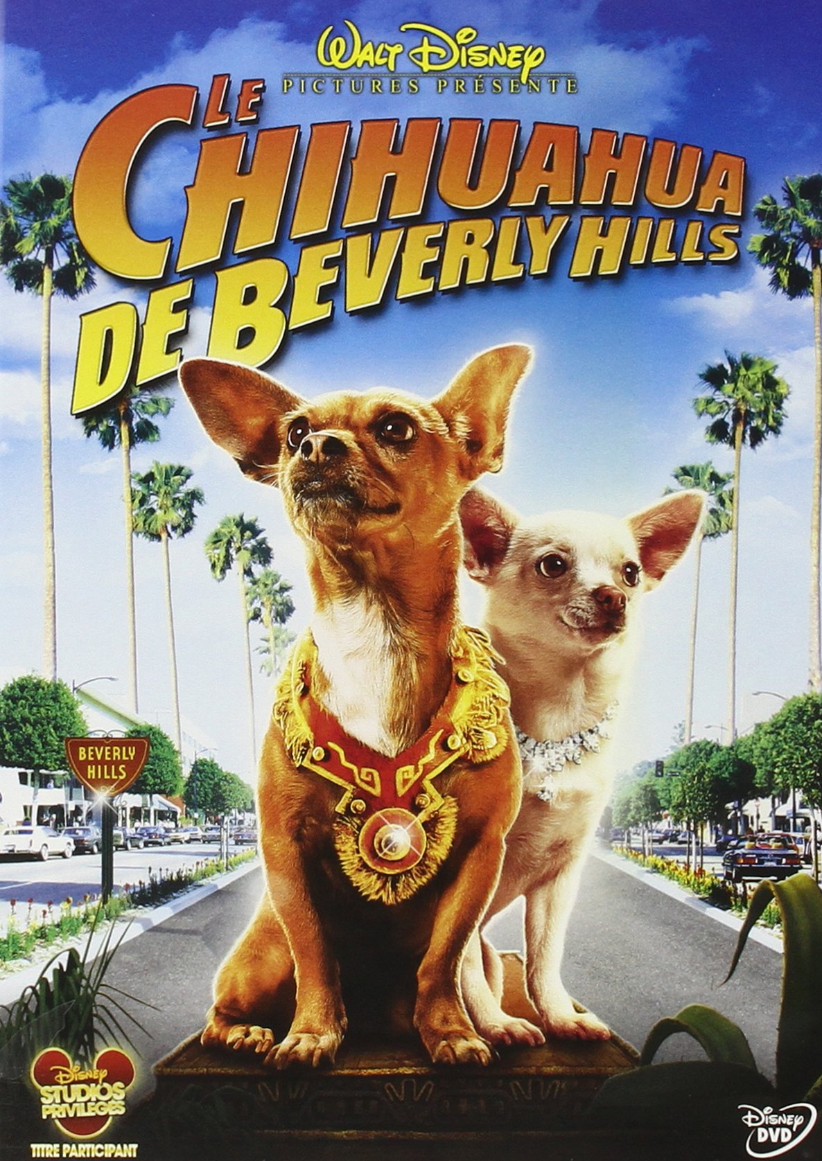 Le chihuahua de Beverly Hills Films
