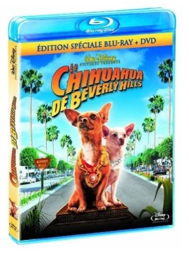Le chihuahua de beverly hills Films