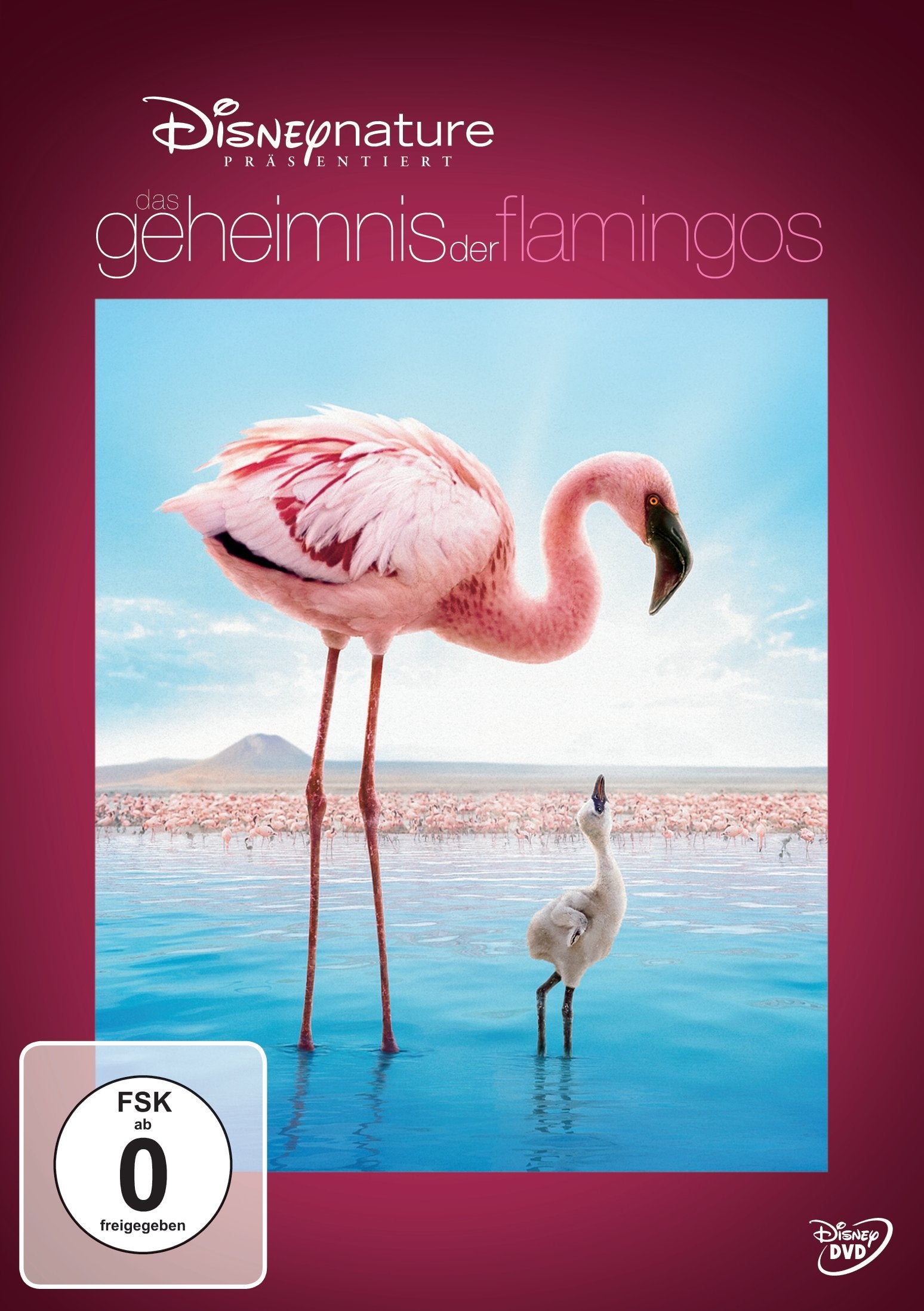 Das Geheimnis der Flamingos Films